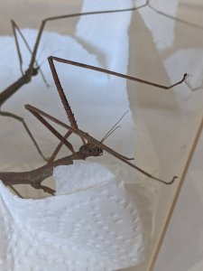 IMG_20200908_162513.jpg IMG_20200908_162513.jpg