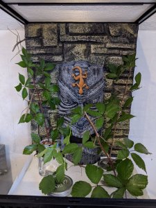 IMG_20200908_170206.jpg IMG_20200908_170206.jpg