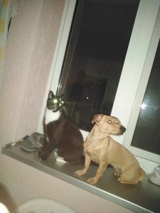 IMG_20200816_212621.jpg IMG_20200816_212621.jpg