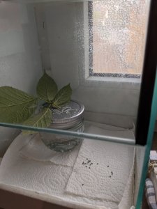 PXL_20201031_142556521.jpg PXL_20201031_142556521.jpg