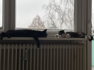 3E8A10EB-5A1B-4BFF-BAEE-ADDB86AA494C.jpeg 3E8A10EB-5A1B-4BFF-BAEE-ADDB86AA494C.jpeg