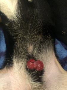 C1C9D0A2-45FE-42F8-BC54-51F25F31B4B8.jpeg C1C9D0A2-45FE-42F8-BC54-51F25F31B4B8.jpeg