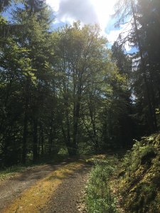 IMG_5530.JPG IMG_5530.JPG