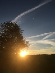 IMG_5590.JPG IMG_5590.JPG