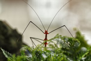 _MG_0732-01.jpeg _MG_0732-01.jpeg