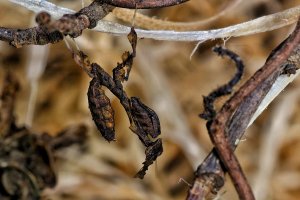 20201225210729_IMG_0063-01.jpeg 20201225210729_IMG_0063-01.jpeg