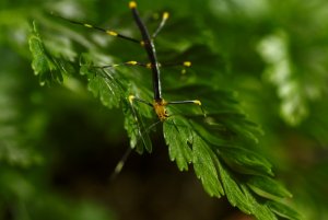 _MG_0822-01.jpeg _MG_0822-01.jpeg