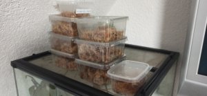 IMG_20210128_085011.jpg IMG_20210128_085011.jpg