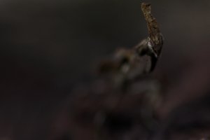 20180118112748_IMG_0013-01.jpeg 20180118112748_IMG_0013-01.jpeg