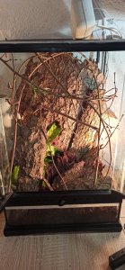 IMG_20201231_193516.jpg IMG_20201231_193516.jpg