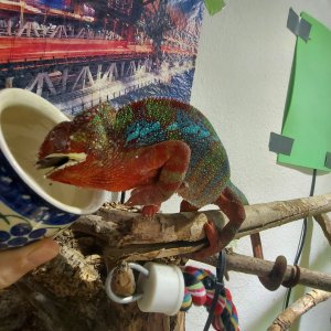 20201115_102924.jpg 20201115_102924.jpg