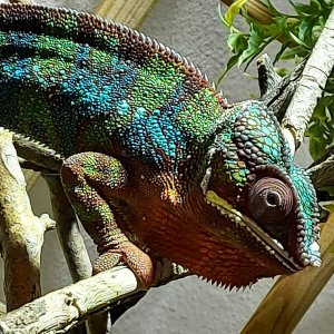 20201010_144946.jpg 20201010_144946.jpg