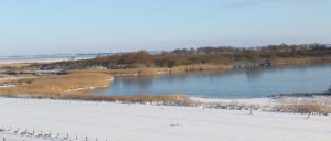 Blick aufs Wöhrdener Loch.jpg