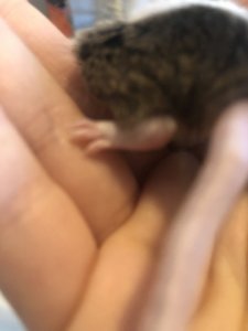 15E1E7D8-A342-4A18-8E26-FBA5C7A532B8.jpeg 15E1E7D8-A342-4A18-8E26-FBA5C7A532B8.jpeg