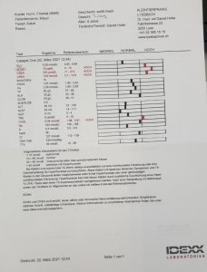 Blutuntersuchung 1.0 vom 22.3jpg.jpg