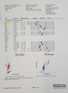 Blutuntersuchung 1.0 vom 22.3 .jpg