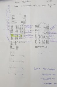 Blutuntersuchung  2.0  vom 6.4 .jpg