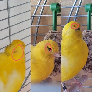 InShot_20210417_150555843.jpg InShot_20210417_150555843.jpg