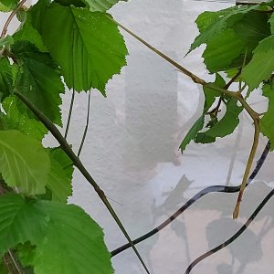 20210430_113230.jpg 20210430_113230.jpg