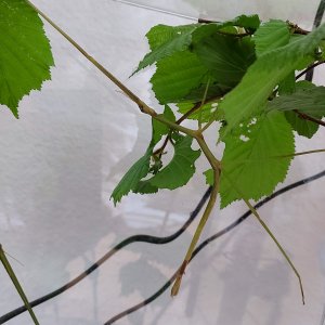 20210430_113203.jpg 20210430_113203.jpg