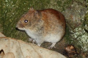 IMG_3484.JPG IMG_3484.JPG