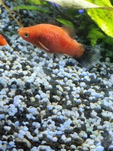 20210517_204146.jpg 20210517_204146.jpg