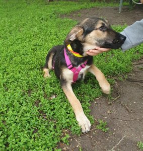 20210605_110549 (1).jpg