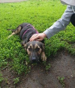 20210605_111158 (1).jpg