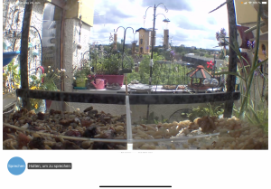 8B9892E1-852D-4ABC-B74B-CA927D9EC5D4.png 8B9892E1-852D-4ABC-B74B-CA927D9EC5D4.png