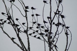 DSC04298.JPG DSC04298.JPG