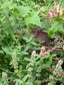 IMG-20210724-WA0002.jpg IMG-20210724-WA0002.jpg