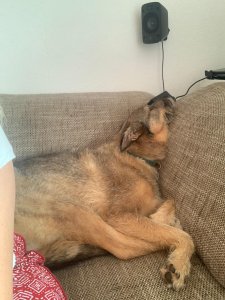 WhatsApp Image 2021-07-19 at 19.12.37.jpeg