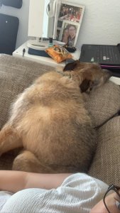 WhatsApp Image 2021-07-20 at 11.34.58.jpeg