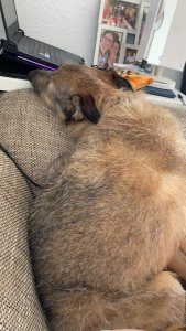 WhatsApp Image 2021-07-20 at 11.35.27.jpeg