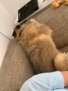 WhatsApp Image 2021-07-26 at 18.22.20.jpeg