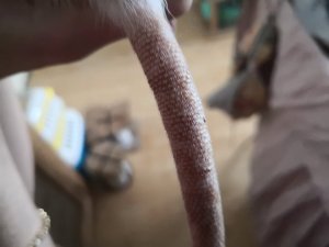 232471527_2984122728419336_6779125746567393828_n.jpg 232471527_2984122728419336_6779125746567393828_n.jpg