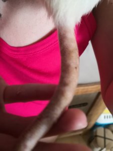 233810072_622979202439414_24675371942579656_n.jpg 233810072_622979202439414_24675371942579656_n.jpg