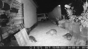 DeepinBildschirmfoto_Bereich auswählen_20210810075622.png