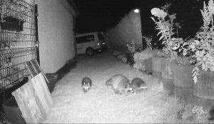 DeepinBildschirmfoto_Bereich auswählen_20210810080154.png