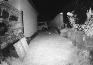 DeepinBildschirmfoto_Bereich auswählen_20210810075720.png