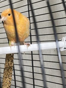 8268FBC0-4B41-4BFB-9A2B-AF49A242B10C.jpeg 8268FBC0-4B41-4BFB-9A2B-AF49A242B10C.jpeg