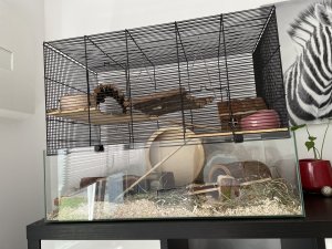 image006.jpg image006.jpg