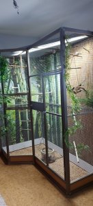 IMG-20211226-WA0006.jpg IMG-20211226-WA0006.jpg