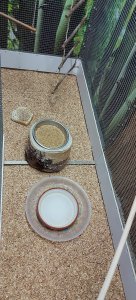 20211226_152106.jpg 20211226_152106.jpg