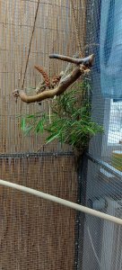 20211226_152113.jpg 20211226_152113.jpg