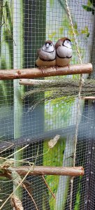 20211226_161352.jpg 20211226_161352.jpg