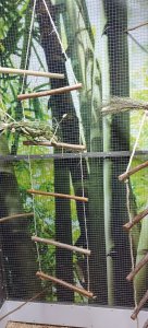 IMG-20211226-WA0010.jpg IMG-20211226-WA0010.jpg