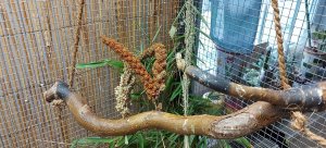 IMG-20211226-WA0011.jpg IMG-20211226-WA0011.jpg