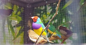 IMG-20211120-WA0006.jpg IMG-20211120-WA0006.jpg