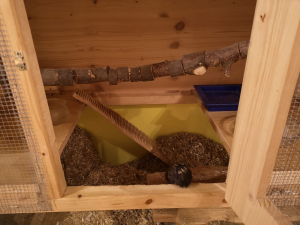 1640546584013.png 1640546584013.png